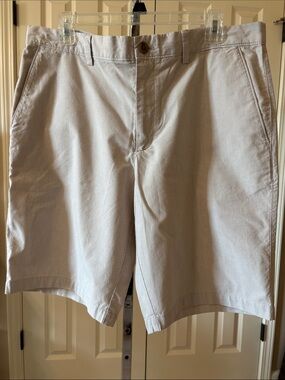 Banana Republic Men's Flat-Front Shorts in Light Taupe and White Pinstripes